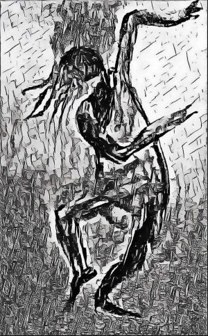 2020 hp taenzerin schatten