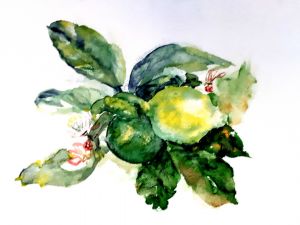 kunst stillleben zitrone